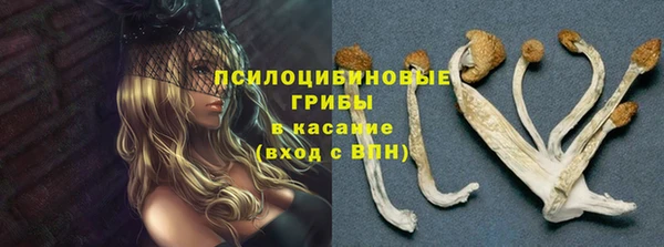 дживик Нефтегорск